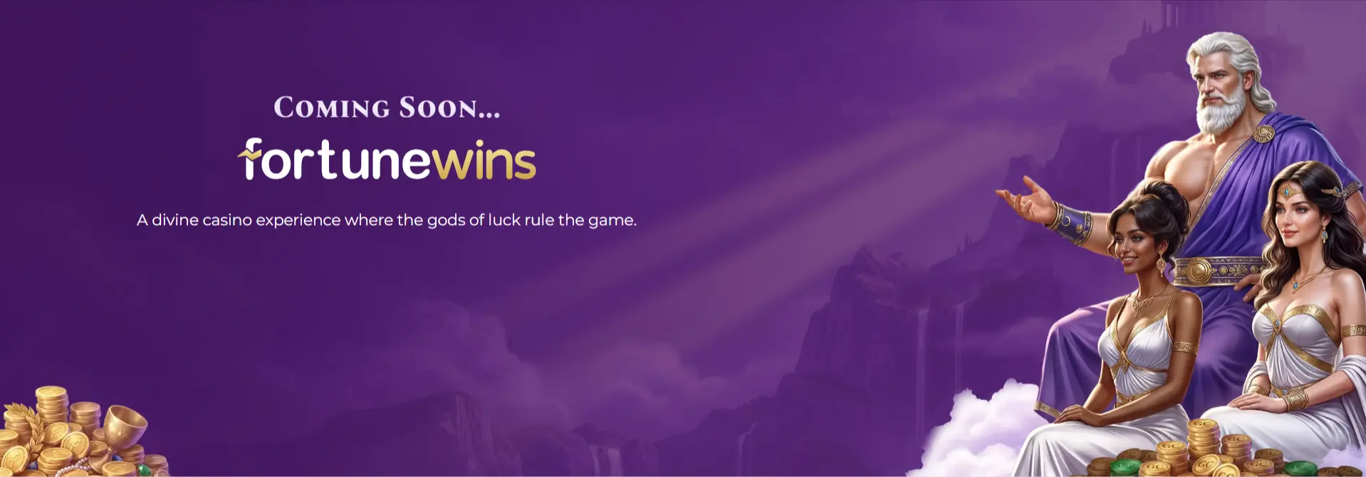 fortune wins banner