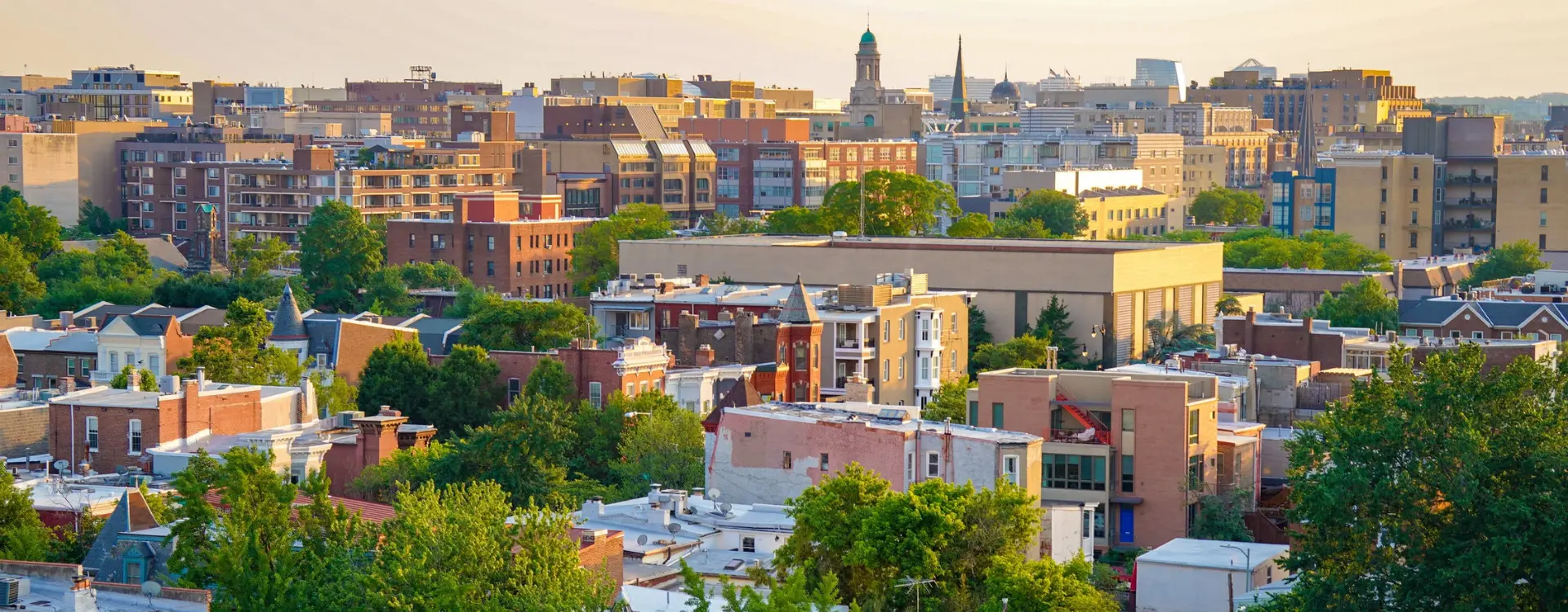 What's Next for DC Gamblers
