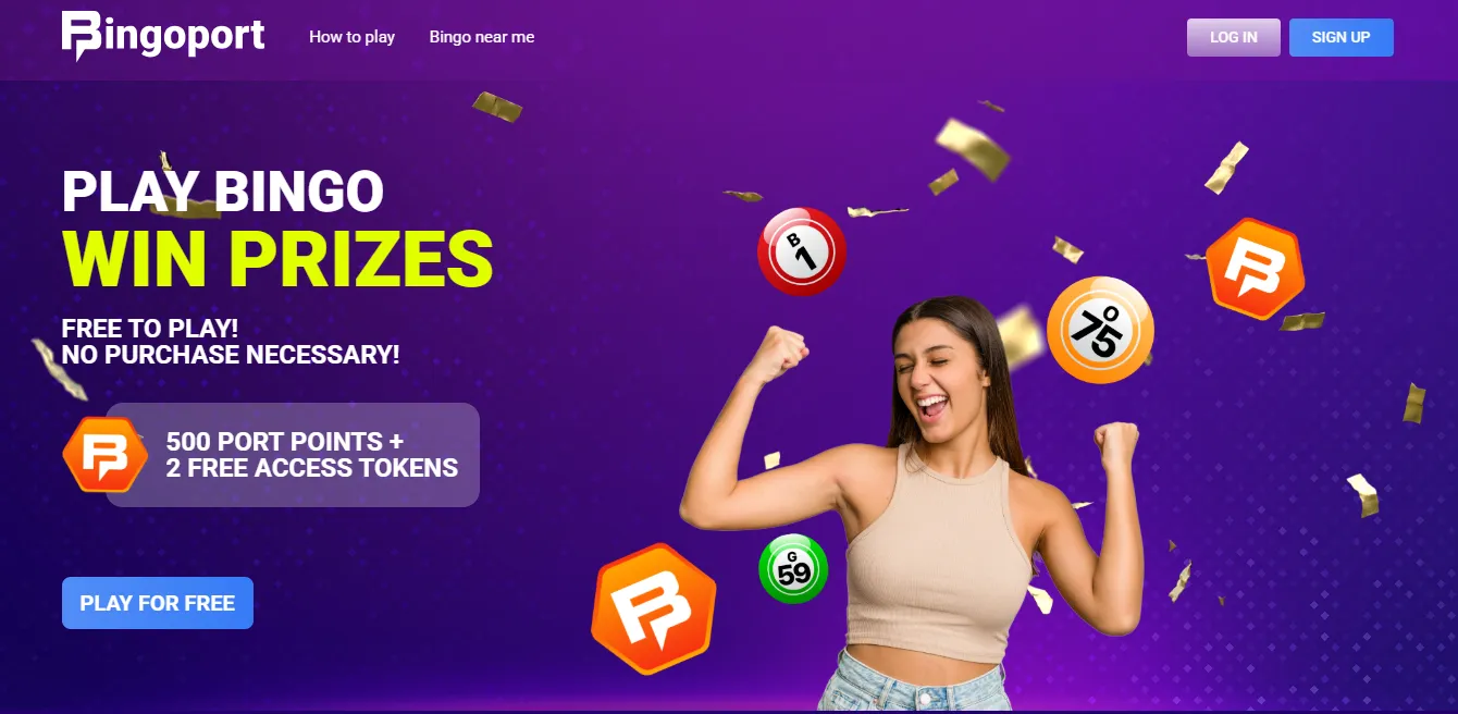 Bingoport Review - flaws, wins, and everything in between